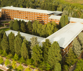 Disney's Sequoia Lodge