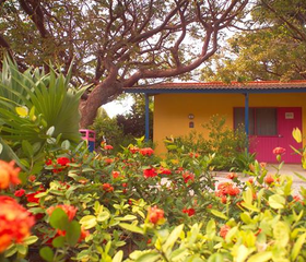 Divi Flamingo Beach Resort