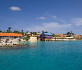 Divi Flamingo Beach Resort