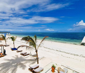 Dream of Zanzibar