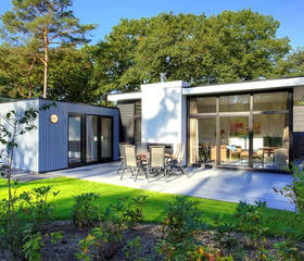 Een luxe en modern vakantiehuis op Droompark De Zanding in Gelderland, met een groot zonnig terras en een tuin met gras.