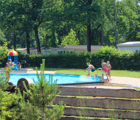 Kinderen spelen en spetteren in het zonnige buitenzwembad, dat omgeven is door de groene bomen van Droompark Hooge Veluwe.