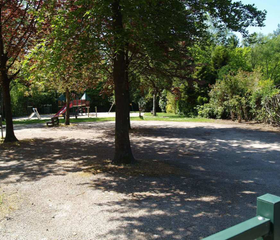 Een schaduwrijk pad op het vakantiepark, ideaal voor een wandeling op een warme dag op de Utrechtse Heuvelrug.