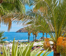 Uitzicht op de helderblauwe zee en het strand door de groene bladeren van de palmbomen bij Grecotel Club Marine Palace op Kreta.