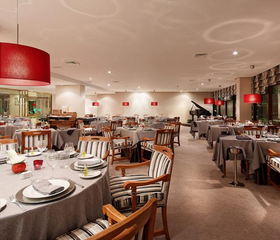 Hotel Gran Melia Don Pepe