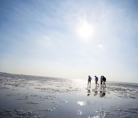 Silhouet van een gezin dat bij laagwater over de bodem van de Waddenzee wandelt in het zonlicht.