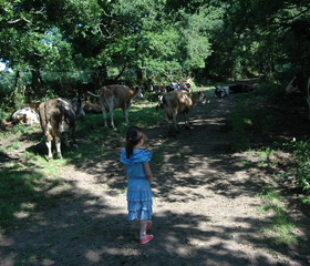 La Ferme de Penquelen
