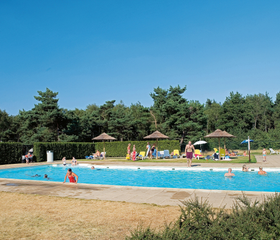 Hoofdafbeelding zomer.jpg