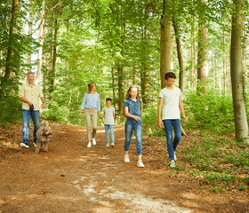Een familie met kinderen wandelt over een bospad in de bosrijke omgeving van Landal Drentse Lagune in Drenthe.