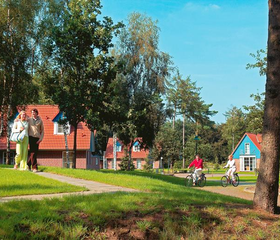 Overzicht van het ruim opgezette en groene vakantiepark Landal Dwergter Sand, met diverse vrijstaande vakantiehuizen.