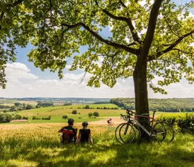 Twee fietsers rusten uit onder een boom en genieten van het adembenemende uitzicht over de glooiende heuvels rondom Landal Hoog Vaals.