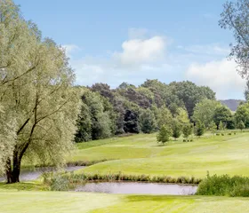 Landal Kenwick Woods