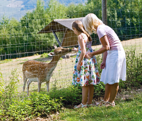 Een moeder en dochter voeren een hertje in het wildpark van Landal Sonnenberg, direct op het vakantiepark aan de Moezel.