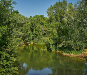 Camping Le Chêne Gris