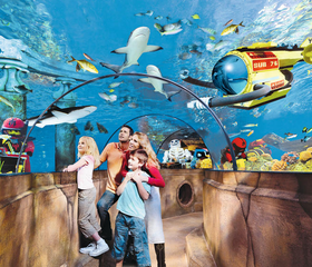 Gezin wandelt door de onderwatertunnel in LEGOLAND ATLANTIS by SEA LIFE en kijkt naar haaien, roggen en een LEGO onderzeeër.