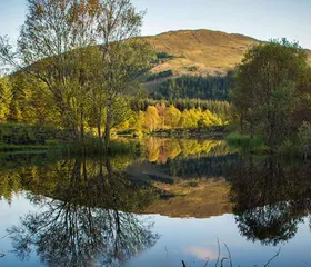 Linnhe Lochside Holidays