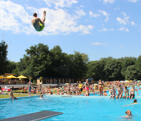 Molecaten Park Bosbad Hoeven