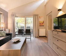 Het interieur van de woonkamer in een bungalow op Parc de Berkenhorst, met een bank, tv en openslaande deuren naar het terras.