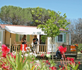 Camping Parc Saint James Oasis Village