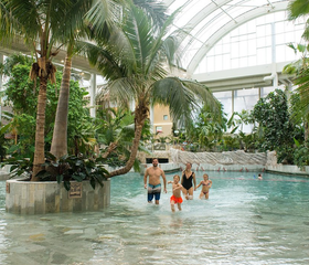 Een familie loopt door het water van het subtropische zwemparadijs Aqua Mundo in Center Parcs Park Allgäu, omringd door echte palmbomen onder een glazen koepel.