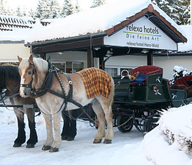 Een paard en wagen staat klaar in de sneeuw voor het Relexa hotel voor een romantische tocht door het winterse Braunlage.