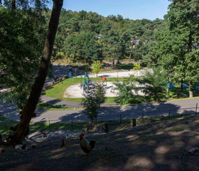 De avontuurlijke speeltuin van Resort Brunssummerheide, gelegen in het groen tussen de bomen, met diverse houten speeltoestellen.