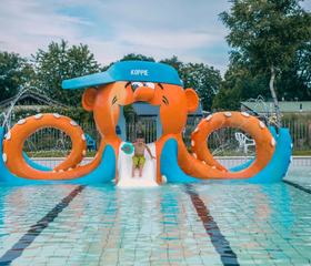 Kleurrijk octopus-speeltoestel in het ondiepe zwembad van Resort Kaatsheuvel