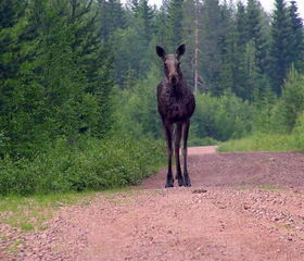 17-daagse rondreis Bernt - Zweden, Noorwegen
