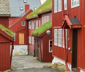 50 tinten groen