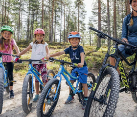 15- of 16-daagse rondreis 'Summer Adventure Sweden' - Zweden