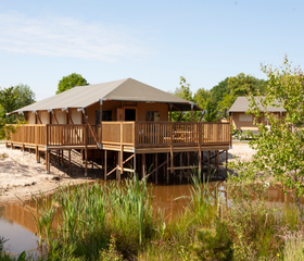 Een luxe safaritent op palen met een grote veranda, direct gelegen aan de avontuurlijke speelvijver van vakantiepark Sallandshoeve in Overijssel.