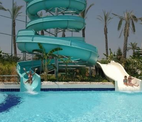 Delphin Diva
