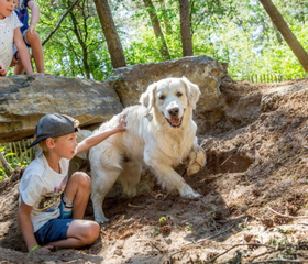 Jongen aait zijn hond in de bosrijke omgeving van het huisdiervriendelijke Vakantiepark De Bergen.