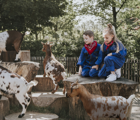 Twee kinderen in blauwe overalls zitten op boomstam naast geiten in de kinderboerderij van Vakantiepark Dierenbos