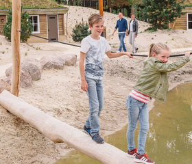 Hoofdafbeelding zomer.jpg