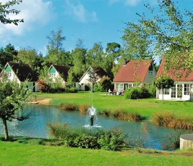Zonnig overzicht van de vrijstaande vakantiehuisjes aan de waterkant, omgeven door groen op Vakantiepark Hellendoorn.