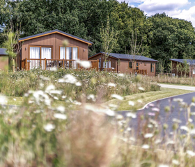 Vakantiepark Rockingham Forest