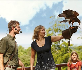 Een familie kijkt vol bewondering naar een grote roofvogel tijdens de roofvogelshow in Wildparadies Tripsdrill.