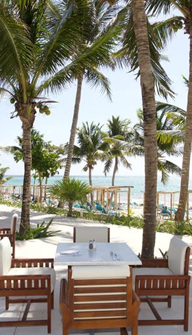 Akumal Bay Beach & Wellness