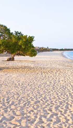 Amsterdam Manor Beach Resort