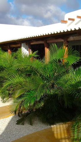 Appartementen Bonaire Fun