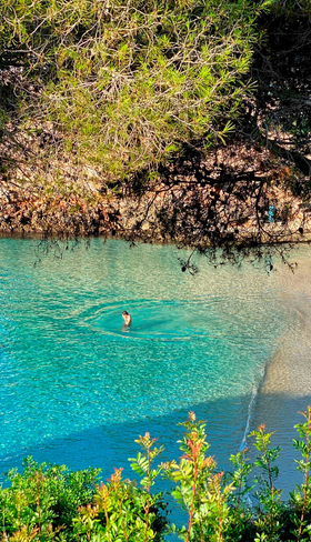 De idyllische baai Cala Esmeralda met helderblauw water en een zandstrand, direct gelegen bij Appartementen Esmeralda Park op Mallorca.