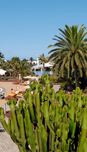 Appartementen Las Marismas de Corralejo