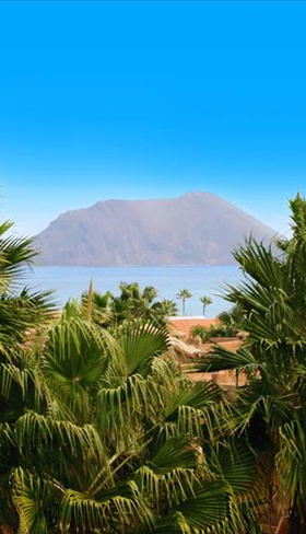 Oasis Dunas