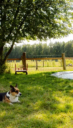 BoerenBed De Lange Weide