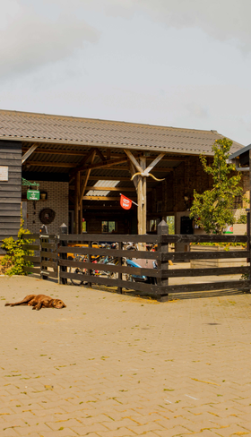BoerenBed Hoeve de Betuwe