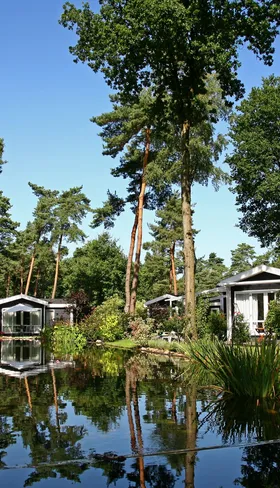 Luxe vakantiehuisjes gelegen aan een bosrijke vijver met reflectie van de hoge bomen in het water op Bospark Markelo in Overijssel.