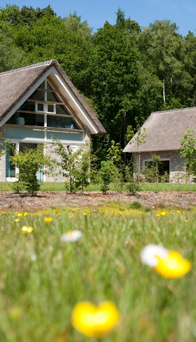 Twee luxe, rietgedekte vakantieboerderijen op Buitenplaats De Marke van Ruinen, omgeven door een bloemrijk grasveld en bos.