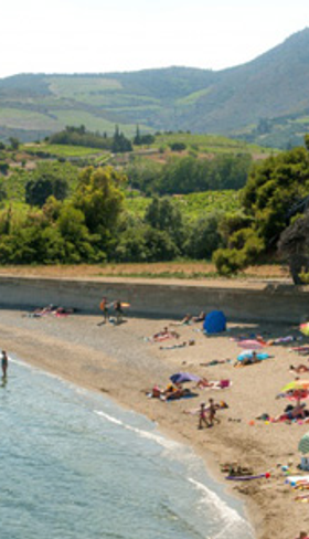 Camping Le Neptune