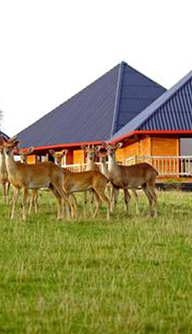 Cerza Safari Lodge